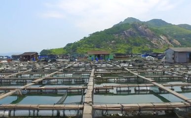 粵海飼料國內(nèi)特種水產(chǎn)飼料領(lǐng)軍者!打造現(xiàn)代養(yǎng)殖差異化競爭優(yōu)勢和水產(chǎn)飼料全能型企業(yè)!市場需求前景廣闊!